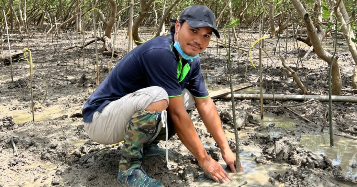 jled plants 300 mangrove trees at Khlong Tamru Mangrove Forest Conservation Center Chonburi Province